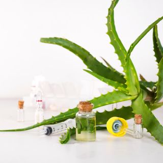 Ekstrakt z korzenia pokrzywy